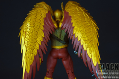 DC Black Adam Hawkman (Black Adam DC Multiverse Hawkman Action Figure)