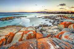 7 Days in Tasmania: The Perfect Tasmania Itinerary - Road Affair