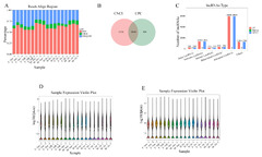 Biology |-Text | Transcription Analysis for Core ...