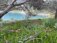 Erfahrungsbericht Lošinj: Wandern & Baden | RETTER Reisen