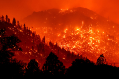 California wildfire burns dozens of s