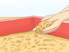 4 Ways to Care for Winter White Dwarf Hamsters - wikiHow