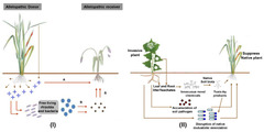 Cells |-Text | Tapping into Plant&ndash;Microbiome ...