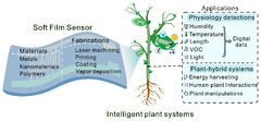 Chemosensors |-Text | Micro/Nano Soft Film Sensors for ...