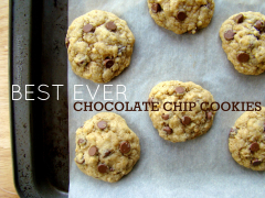 Best ever chocolate chip cookies (gift-giving mix!)