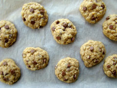 Best ever chocolate chip cookies (gift-giving mix!)