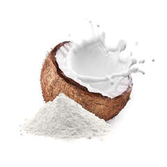 Coconut Milk Powder