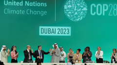 2023 United Nations Climate Change Conference (COP28)