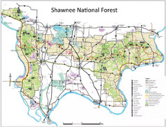 Shawnee National Park? | News | Illinois Times