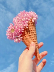 Ice cream cone with flowers