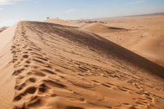 Dune 7, Namibia (Wahiba Sands)