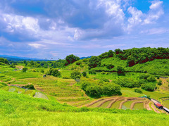 Shimo Akasaka Rice Terraces