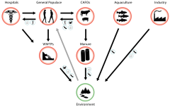 Promising Therapeutic Approach in Pancreatic Cancer: Metabolism ...