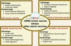 Frontiers | Recent advances in mRNA cancer vaccines: meeting ...