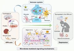 Frontiers | Current landscape of fecal microbiota transplantation ...