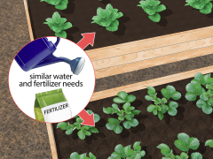 4 Easy Ways to Fix Root Rot - wikiHow