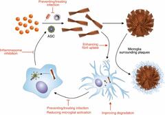 Amyloid beta