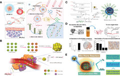 Frontiers | Advanced diagnostic and therapeutic strategies in ...