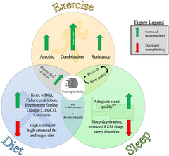 Frontiers | The Combined Influences of Exercise, Diet and Sleep on ...