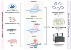 Genes |-Text | Interrogating Mitochondrial Biology and ...