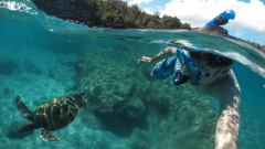 10 of the best places in the world for snorkeling - Lonely Planet