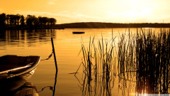 Sunset on a Lake (Fisherman Sepia )