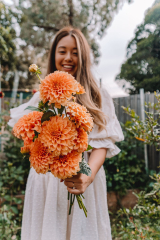 My First Year Growing Dahlias: Grow Dahlias with Me! — CONNIE AND LUNA