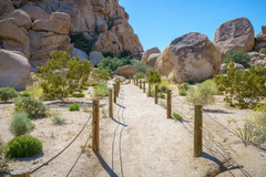 Stunning Hikes in Joshua Tree National Park — The Discoveries Of