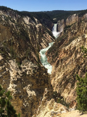 Hikes in the Canyon Area of Yellowstone|Yellowstone Hiking Trails