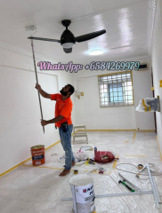 House painting service/Parquet floor Varnish/Mould Treatment/Mould ...