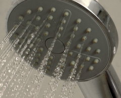 How to Clean a Shower Head in 5 Steps | Victorian Plumbing