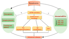 IJMS |-Text | Physical Activity Alleviates Cognitive ...