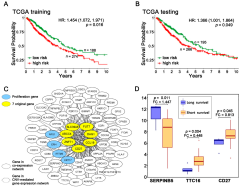 IJMS |-Text | A Multi-Omics Network of a Seven-Gene ...