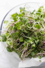 How to Grow Microgreens Indoors | Gardening | Wholefully