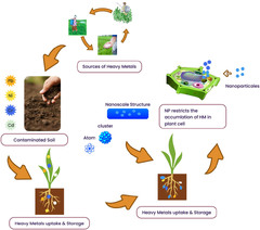 Nanoremediation approaches for the mitigation of heavy metal ...