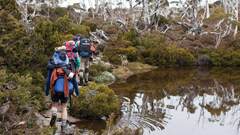 Five Breathtaking Tasmanian Hikes to Discover This Winter ...