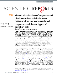 PDF) The potential anti-androgenic effect of agricultural ...