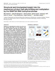 PDF) Structural and biochemical insight into the mechanism of dual ...