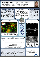 PDF) Three-dimensional sub-100 nm resolution fluorescence ...