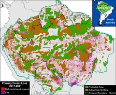 MAAP #183: Protected Areas & Indigenous Territories Effective ...