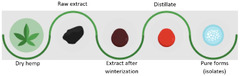 Molecules |-Text | Therapeutic Potential of Minor ...