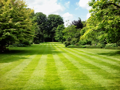 I'm a lawn care expert and you need to take action NOW to protect ...