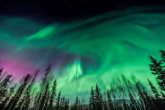 Northern Lights (Northern Lights Over Trees Alaska)