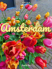 Things to Do in Amsterdam in Spring - Lemon8 Search