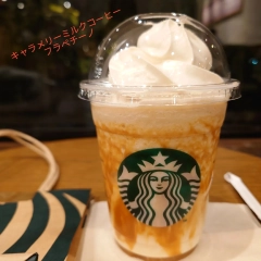 Starbucks Vanilla Bean Frappuccino with Caramel Drizzle