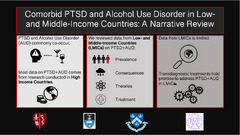 Comorbid Posttraumatic Stress Disorder and Alcohol Use Disorder in Low- and Middle-Income Countries: A Narrative Review