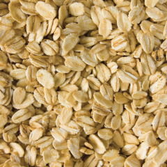 Organic Wholegrain Rolled Oats 25KG | Honest to Goodness