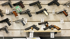 Tracking gun shop credit card sales divides states - Fast Company