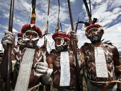 Is it natural for humans to make war? New study of tribal ...