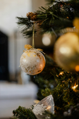 A close up of a christmas tree with photo – ...